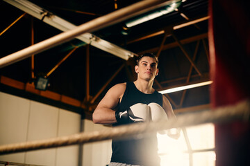 Below view of boxer ready for exercising in boxing ring at the gym.