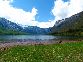 Scenic view of beautiful Bohinj lake in spring with trees bellow in green foliage and the peaks...