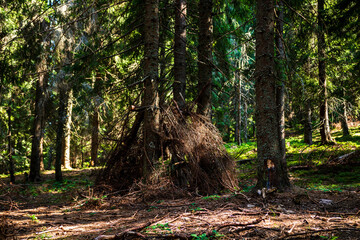 Closeup shot of a wooden tipi in the forest © Ispas Vlad/Wirestock