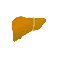 image of fatty liver, disease, vector illustration