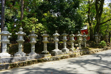Pathway along stone lantern towards Kasugataisha Shrine in Nara prefecture, Japan - 日本 奈良 春日大社 参道 石燈篭