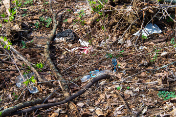 Litter on a forest floor.