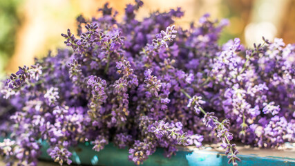 Obraz premium lavender flowers on the table