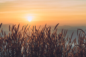 sunset in the mountains