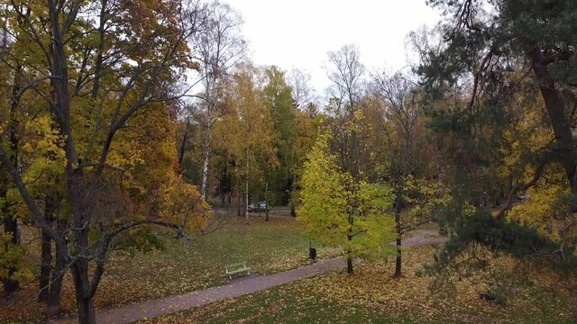 Ascending drone shot of autumnal trees in park of Helsinki,Finland. Beautiful forest with falling leaves. Industrial factory in background.