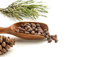Siberian pine nuts and needles branch on white background