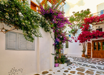 Beautiful traditional streets of Greek island towns. Whitewashed houses, rich bougainvillea in blossom, cobblestone pavement. Mykonos, Greece