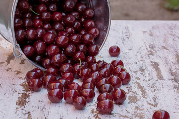 pomegranate seeds in a bowl
