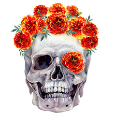 Watercolor Skull and Flowers Halloween Illustration - 432388640
