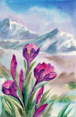 Spring mountain landscape alpine meadows and crocuses. Watercolor illustration for tourist postcards, brochures, print, website, diary