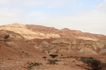 Obraz premium israel desert sand wasteland badlands barrens landscape