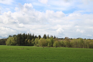 Wandern auf den Nordpfaden in Rotenburg W&uuml;mme nahe der Gemeinde Elm (Hiking in North-Western Germany) | Feldwege und Wolken (field paths and clouds)