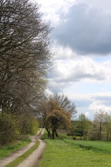 Wandern auf den Nordpfaden in Rotenburg Wümme nahe der Gemeinde Elm (Hiking in North-Western Germany) | Feldwege und Wolken (field paths and clouds)