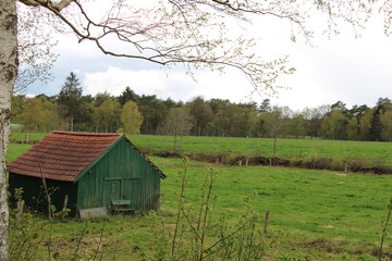 Wandern auf den Nordpfaden in Rotenburg Wümme nahe der Gemeinde Elm (Hiking in North-Western Germany) | Landschaft in Norddeutschland mit Hütte (landscape in northern Germany with a small cottage)