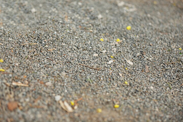 small gravel stones