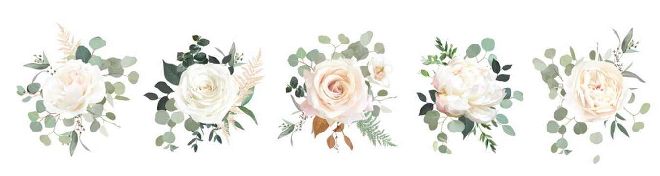 Eucalyptus and white roses, ranunculus vector design bouquets