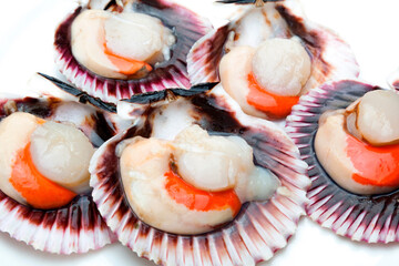 Scallops fresh, raw and clean on white background (zamburiñas)