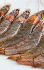Close-up of fresh, raw and whole prawns. On white background.