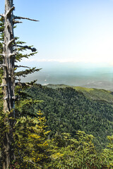 Fototapeta na wymiar View from Myrtle Peak, Mount Le Conte in Gatlinburg Tennessee