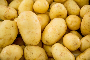 Vegetables Pictures. great for menu and supermarkets