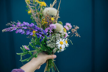 Beautiful colorful bouquet of wildflowers in hand on dark wall background. Wanderlust and travel