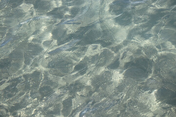 Fototapeta na wymiar water aqua sea background backdrop backcloth