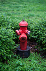 Fototapeta na wymiar Closeup of red fire hydrant in a public garden