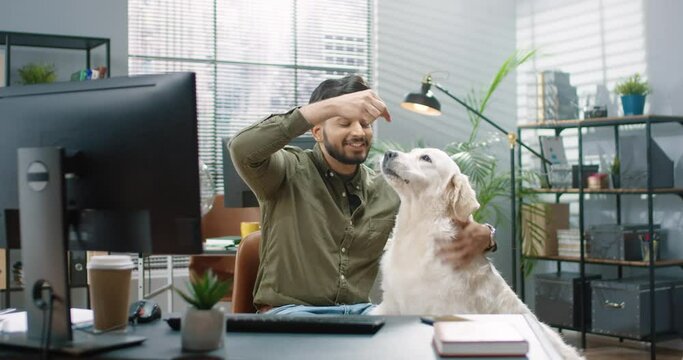 Portrait of happy joyful Hindu male sitting in cabinet at work feeding his cute dog pet in good mood. Handsome cheerful bearded guy at office train and feed animal. Positive emotions, pet concept