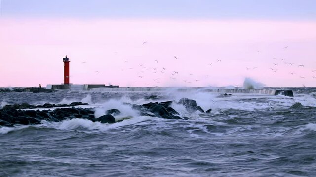 Heavy storm in the Baltic Sea on the background of the red lighthouse. Seagulls flying over the sea on the pink sky. During a storm, a large number of waves are formed, which crash against the rocks.