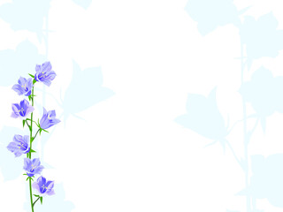 Summer field flowers vector background. Beautiful in nature. Colorful illustration of white back and wild flowers