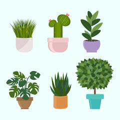 set of plants in pots
houseplants flowerpots