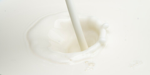 Close up splash milk 