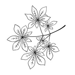 Chestnut leaves outline sketch isolated branch