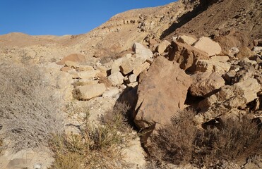 Fototapeta na wymiar Hiking in Nahal Shani, South Israel