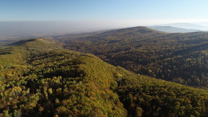 Fototapeta premium Aerial view of autumn in deciduous forest from hilly area