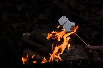 Roasting marshmallows. On a dark background with fire. Marshmallow