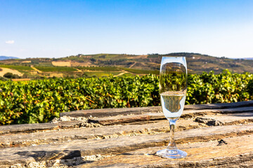 Glass of sparkling white wine on a Douro valley vineyard background