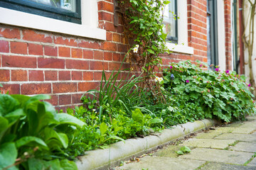 close up of a green facade garden in groningen in the spring