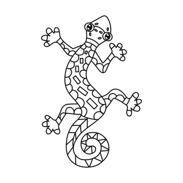 black and white gecko climbing