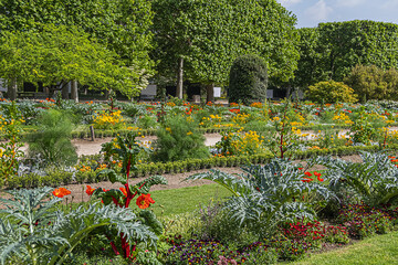 Garden of the Plants (Jardin des plantes, 1889) - main public botanical garden in Paris, France....