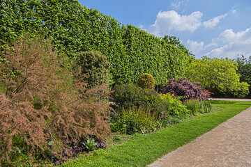 Garden of the Plants (Jardin des plantes, 1889) - main public botanical garden in Paris, France. Flowers and trees in garden. Paris, France.