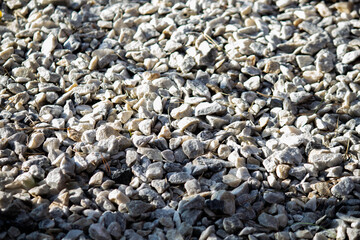 a lot of white pebbles for the path, small stones 