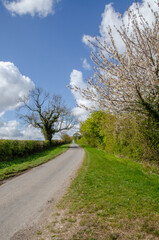 road in the countryside