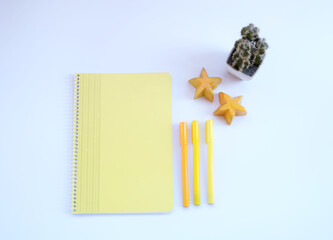 Yellow notebook, three pens, two stars and a cactus on white background