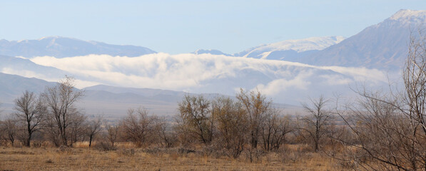 morning fog in the mountains