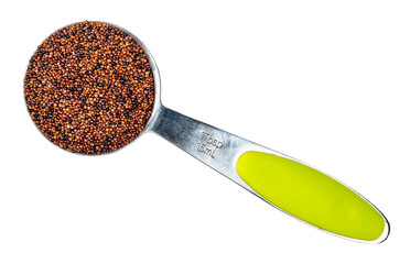 top view canihua seeds in measuring spoon cutout