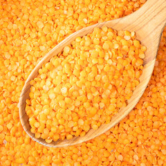 split red lentils in wooden spoon closeup
