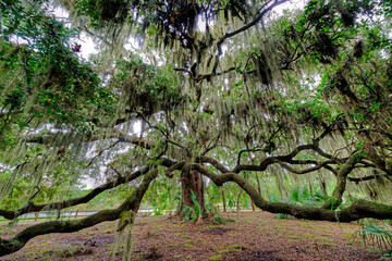 Hilton Head Island, South Carolina, USA