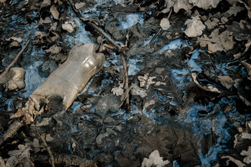 Environment and plastic garbage in woodland. Rubbish trash, waste in forest. Ecological problem with Empty used bottles of big city.