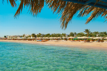 Coast of Africa, Safaga, Egypt. Wonderful view, the beach line with palm trees and white sand. Red...